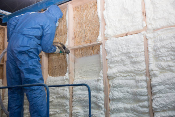 Best Crawl Space Insulation  in Villas, NJ